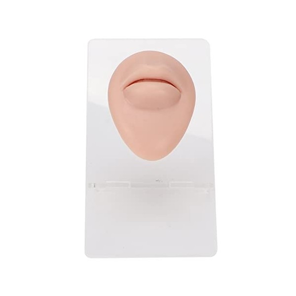 Modèle Flexible Réaliste en Silicone Souple pour le Perçage des Lèvres Dacupuncture, Modèle de Bouche Réutilisable pour Laf