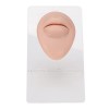 Modèle Flexible Réaliste en Silicone Souple pour le Perçage des Lèvres Dacupuncture, Modèle de Bouche Réutilisable pour Laf