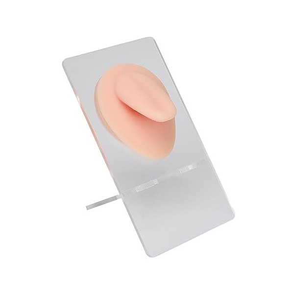 Modèle de Langue, Modèle de Langue en Silicone 3D Réaliste simulé élastique Portable Réutilisable pour Technicien pour Salon 