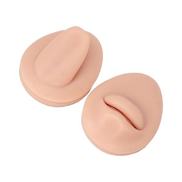 Modèle de Langue de Bouche Simulée, Ensemble de Modèles daffichage de Langue en Silicone Souple pour lapprentissage Couleu