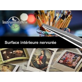 Pince à épiler droite de 12,5 cm avec denture intérieure en acier inoxydable.