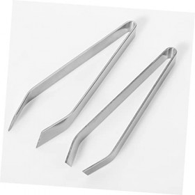 POPETPOP 3 Pièces Outils Outils De Fruits De Mer Outil De Détartrage De Poisson Outil DOs De Poisson Pince À Épiler En Os De