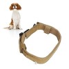 Zerodis Collier pour Chien Interchangeable avec Boucles métalliques. Collier de Dressage pour Animaux de Compagnie avec Boucl