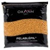 Oxann Cire Pastille Jetable Pliable Or 800 g