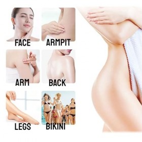 Chauffe Cire à Double Cartouche, Chauffe-cire Professionnel, Ensemble de cire Chaude, Machine à Cire Chaude électrique Roulea