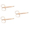 POPETPOP 3 Pcs Ciseaux À Cils Ciseaux À Pointe Droite Ciseaux De Coiffure Ciseaux De Toilettage Pour Femmes Ciseaux Pour Le V