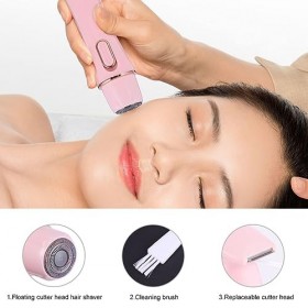 Beaupretty 4 1 Électrolyse Humide Et Sèche Visage Dissolvant Épilateur Femmes Visage Rasoir Indolore Épilateur Rasoir Poils D