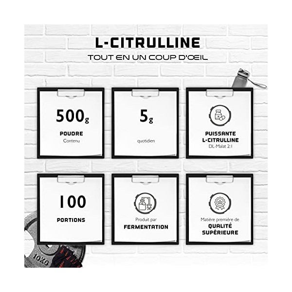 L-Citrulline Powder - 500 g - L-Citrulline DL-Malate 2:1 - Solubilité optimale - Vegan - Sans additifs - De fermentation végé