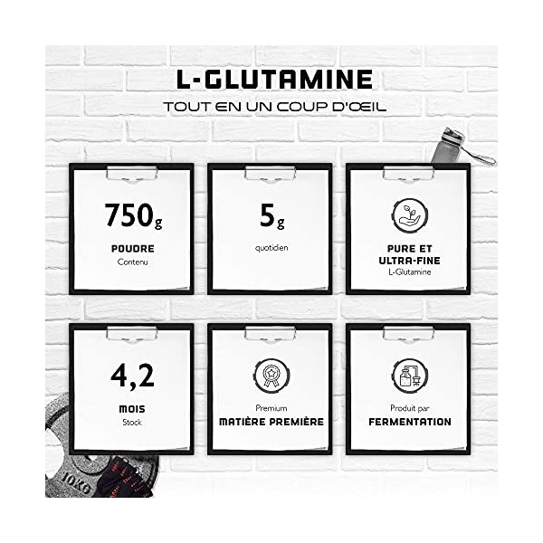 L-Glutamine en poudre - 750 g - Premium : L-Glutamine pure et ultrafine sans additifs - Acide aminé L-Glutamine 100% micronis