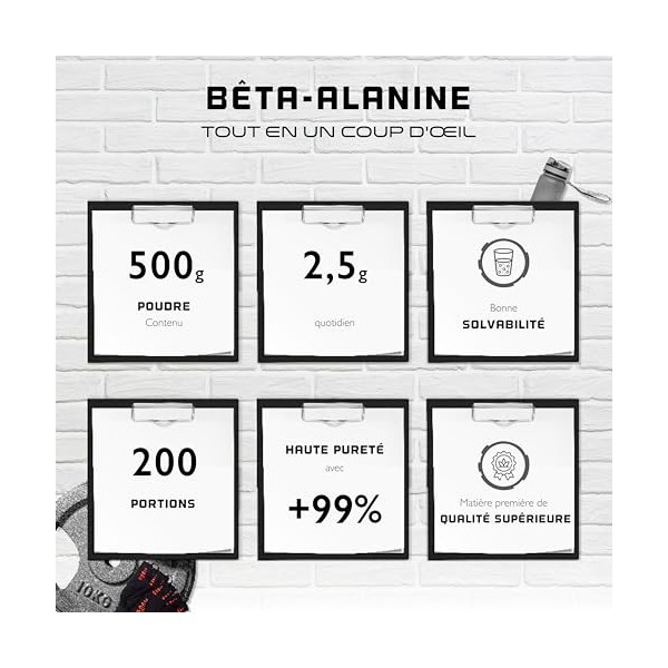 Bêta Alanine - 500 g poudre pure sans additifs - pureté +99% - 100% acide aminé Bêta Alanine - Vegan - German Elite Nutrition