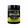 Healthy Fusion Acides Aminés Ramifiés Elémentaires/Essentiels BCAA/Glutamine/Vitamine B6, Pasteque, 300 g