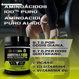 Healthy Fusion Acides Aminés Ramifiés Elémentaires/Essentiels BCAA/Glutamine/Vitamine B6, Pasteque, 300 g