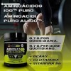 Healthy Fusion Acides Aminés Ramifiés Elémentaires/Essentiels BCAA/Glutamine/Vitamine B6, Pasteque, 300 g