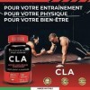 Bandini® CLA Acide Linoléique Conjugué 2400 mg par dose | Augmenter la Masse Musculaire pendant lEntraînement | Pour les Spo