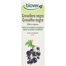 Biover Ribes Nigrum Cassis bio