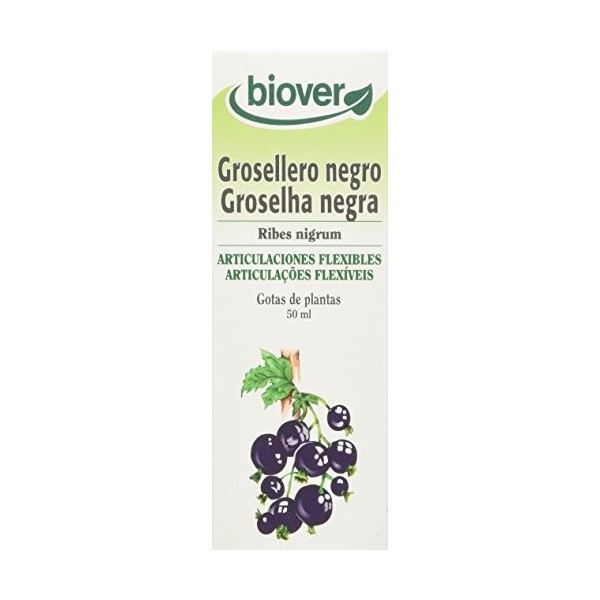 Biover Ribes Nigrum Cassis bio