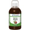 JUVAMINE - Brule Graisse - Bouteille Essentiels dActifs Thé Vert Guarana - Programme 20 jours - 500 ml