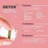 Detox puissante pour détoxifier le foie et le corps | Complément pour femmes | Snella by Gabriella Vico