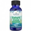 Nordic Naturals, Vegetarian Baby-DHA, Base dHuile dAlgues, avec EPA et DHA, 30ml, Testé en Laboratoire, Sans Soja, Sans Glu