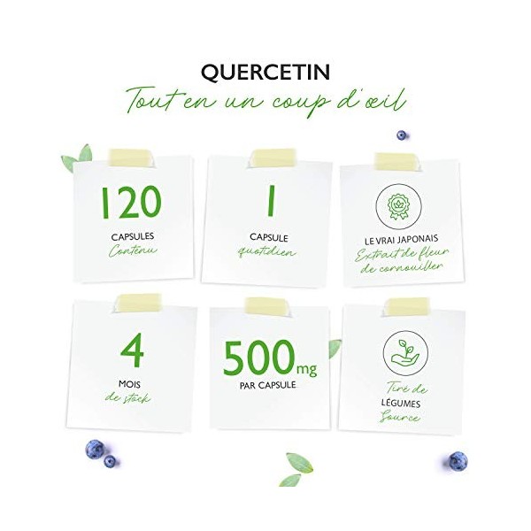 Quercétine - 500 mg - 120 gélules - 4 mois dapprovisionnement - Testé en laboratoire - Naturellement fait à partir dextrait