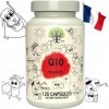 NOUVEAU ~ Coenzyme Q10 avec vitamine B1 ~ Ubiquinone ~ Antioxydant ~ Energie ~ Gélule Végétale ~ Bouteille 100% Naturelle et 