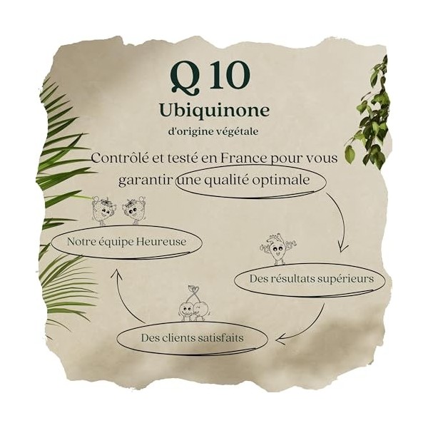 NOUVEAU ~ Coenzyme Q10 avec vitamine B1 ~ Ubiquinone ~ Antioxydant ~ Energie ~ Gélule Végétale ~ Bouteille 100% Naturelle et 