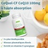 Coenzyme Q10 CoQsol-CF à Haute Absorption, Ultra-Soluble & 5x Biodisponibilité, 120 Gélules, Formule Clean Label, CoQ10 Antio