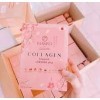 kumiko collagen X3