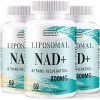 Supplément liposomal de NAD+ avec trans-resvératrol 800mg par portion - Absorption élevée - 60 capsules molles végétales - An