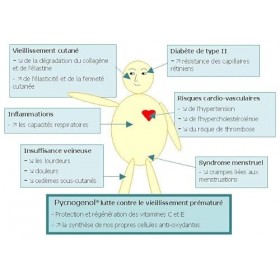 Ma Santé Naturelle PYCNOGENOL 180 gélules végétales de 100 mg SUPER ANTIOXYDANT-testé laboratoire Horphag Research Suisse , 