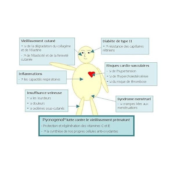 Ma Santé Naturelle PYCNOGENOL 180 gélules végétales de 100 mg SUPER ANTIOXYDANT-testé laboratoire Horphag Research Suisse , 