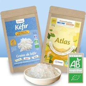 Grains de kéfir deau frais certifiés BIO avec aromatisation - grains réutilisables - contrôlés et fabriqués en France - bois