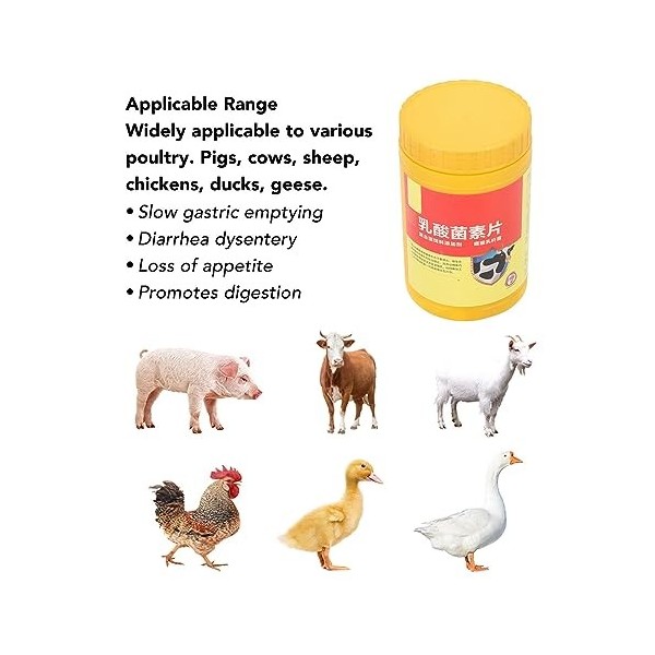 Haofy 1000 Pièces Comprimés de Lactobacilles Probiotiques pour Bétail Porcs Vaches Poulets Canards Troubles Digestifs, Supplé