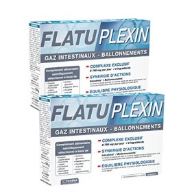 3C Pharma Flatuplexin GAZ INTESTINAUX - BALLONNEMENTS- Lot de 2 Boites