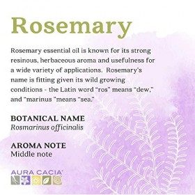 Aura Cacia 0445585 Pur Huile Essentielle de Romarin - 0,5 onces liquides