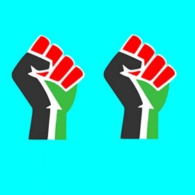 Lot de 2 tatouages temporaires imperméables de Palestine - Tenue dune semaine de soutien - Lutte de Palestine