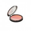 Technic Superfine Trio Matte Blusher Compact 12g