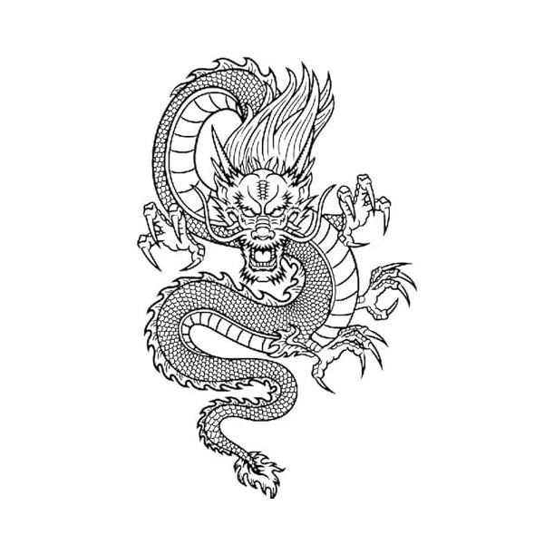 Faux tatouages au motif dragon TBS8381