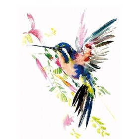 Tatouage temporaire colibri oiseau Tatouage faux tatouage KM110