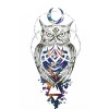 Tatouage temporaire hibou AL033 