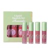 Lot de 4 gloss à lèvres fruités avec revêtement velours et antiadhésif, gloss liquide, 3 ml x 4 boosters B, A 