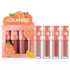 Lot de 4 mini gloss à lèvres en velours, qui ne se décolorent pas, ne se décolorent pas, faciles à colorer, longue durée C, 