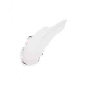 Sun Bum Crème solaire minérale SPF 50 | Végétalienne et adaptée aux récifs Octinoxate et Oxybenzone | Crème solaire naturel