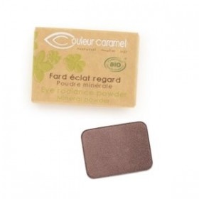 Recharge Ombre à Paupière -Ombre N° 166 -BIO