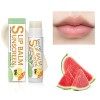 Chapstick avec FPS 30 | Bum Sun Baume à Lèvres SPF30 - Crème solaire pour les lèvres format voyage, protection solaire pour l
