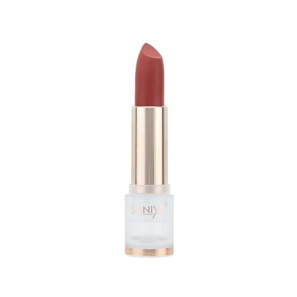 Rouge à lèvres mat pour femme | Repulpeur de lèvres hautement pigmenté longue durée | Rouge à lèvres de maquillage à porter t