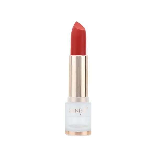 Rouge à lèvres mat pour femme | Repulpeur de lèvres hautement pigmenté longue durée | Rouge à lèvres de maquillage à porter t