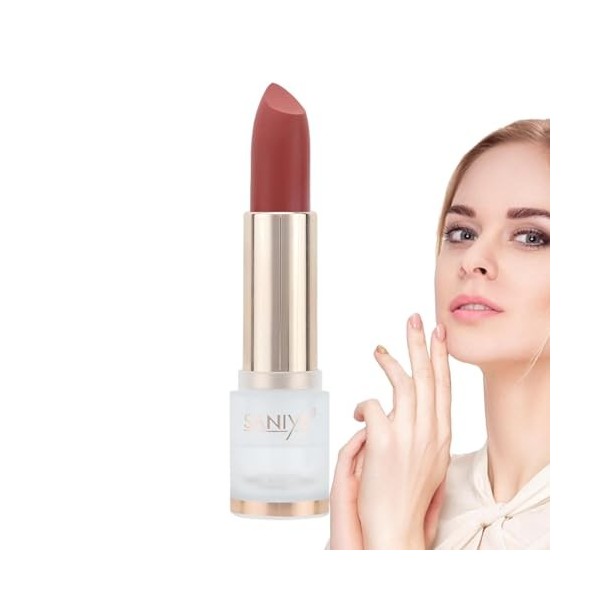 Rouge à lèvres mat pour femme | Repulpeur de lèvres hautement pigmenté longue durée | Rouge à lèvres de maquillage à porter t