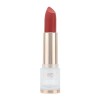 Rouge à lèvres mat pour femme | Repulpeur de lèvres hautement pigmenté longue durée | Rouge à lèvres de maquillage à porter t