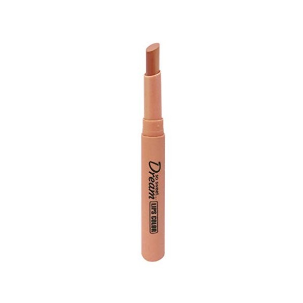 WOZOW Rouge Waterproof Mignon à Lèvres De Tube Bouche Brique Facile Doux Velvet Charme Lèvres, Longue Durée Matte Crayon Coul